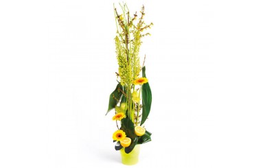 L'Agitateur Floral | image de la composition de fleurs tons vert Sunlight