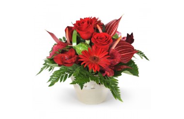 L'Agitateur Floral | image de la composition de fleurs rouges flamboyant