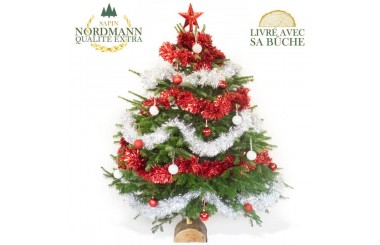 L'Agitateur Floral | image du Sapin de Noël Décoré Rouge et Argent