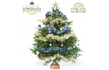 L'Agitateur Floral | image du Sapin de Noël Décoré Bleu et Or