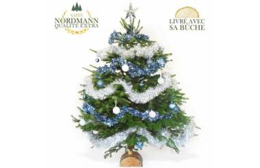 L'Agitateur Floral | image du Sapin de Noël Décoré Bleu et Argent