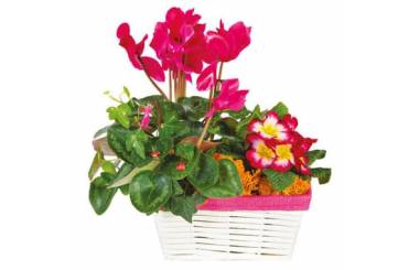 L'Agitateur Floral | image de la Composition de deuil rose-fuchsia Voyage Eternel