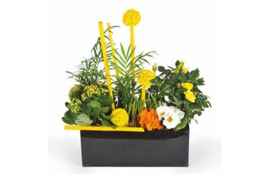 L'Agitateur Floral | image de la coupe de plantes dans les tons jaune le jardin d'Abel