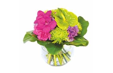 L'Agitateur Floral | image du bouquet de fleurs Boudoir