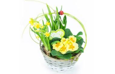 L'Agitateur Floral | Image de Panier printanier