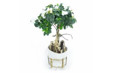Agitateur Floral | Azalée sur tige blanche décorée