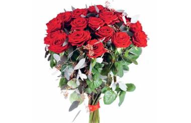 L'Agitateur Floral | image du magnifique bouquet de roses rouges Noblesse
