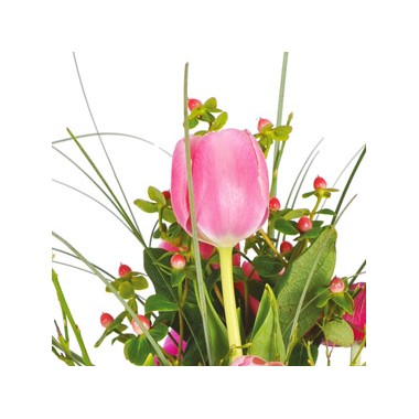 mosaïque : vue sur une tulipe rose