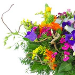 Zoom 1 : Bouquet champêtre pétillant "Naples"| L'Agitateur Floral