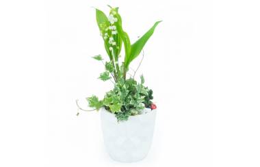 Image principale : Composition 1er Mai "Jardin de Clochettes"| L'Agitateur Floral