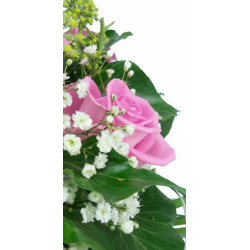 mosaïque : vue sur une rose rose en fond