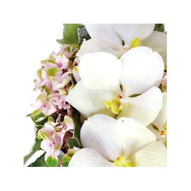 mosaïque : vue sur des orchidées vanda blanches