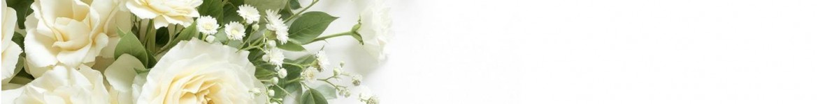 Bouquets de fleurs blanches