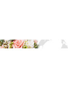 Livraison de fleurs à L'International