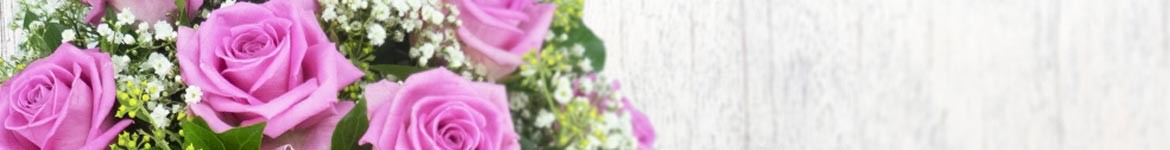 Roses roses et autres couleurs