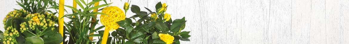 Livraison de plantes