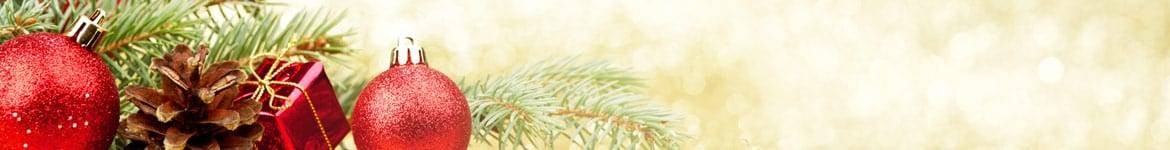 Plantes de Noël préparées & livrées par un fleuriste 7j/7 en 4h