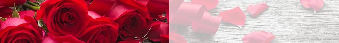Roses Rouges & Blanches Saint Valentin