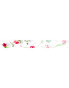 Fêtes des Grands-Mères